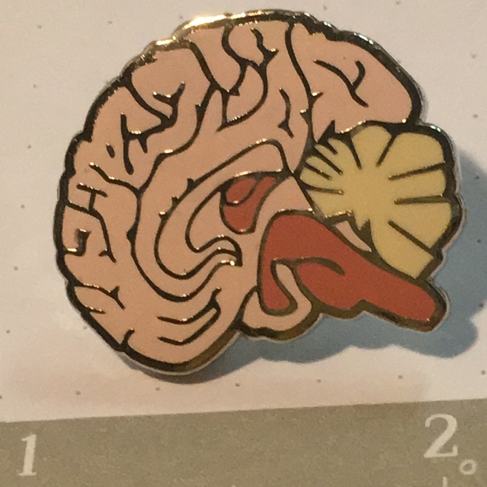 Anatomical brain enamel & gold metal pin NWB - Picture 6 of 6